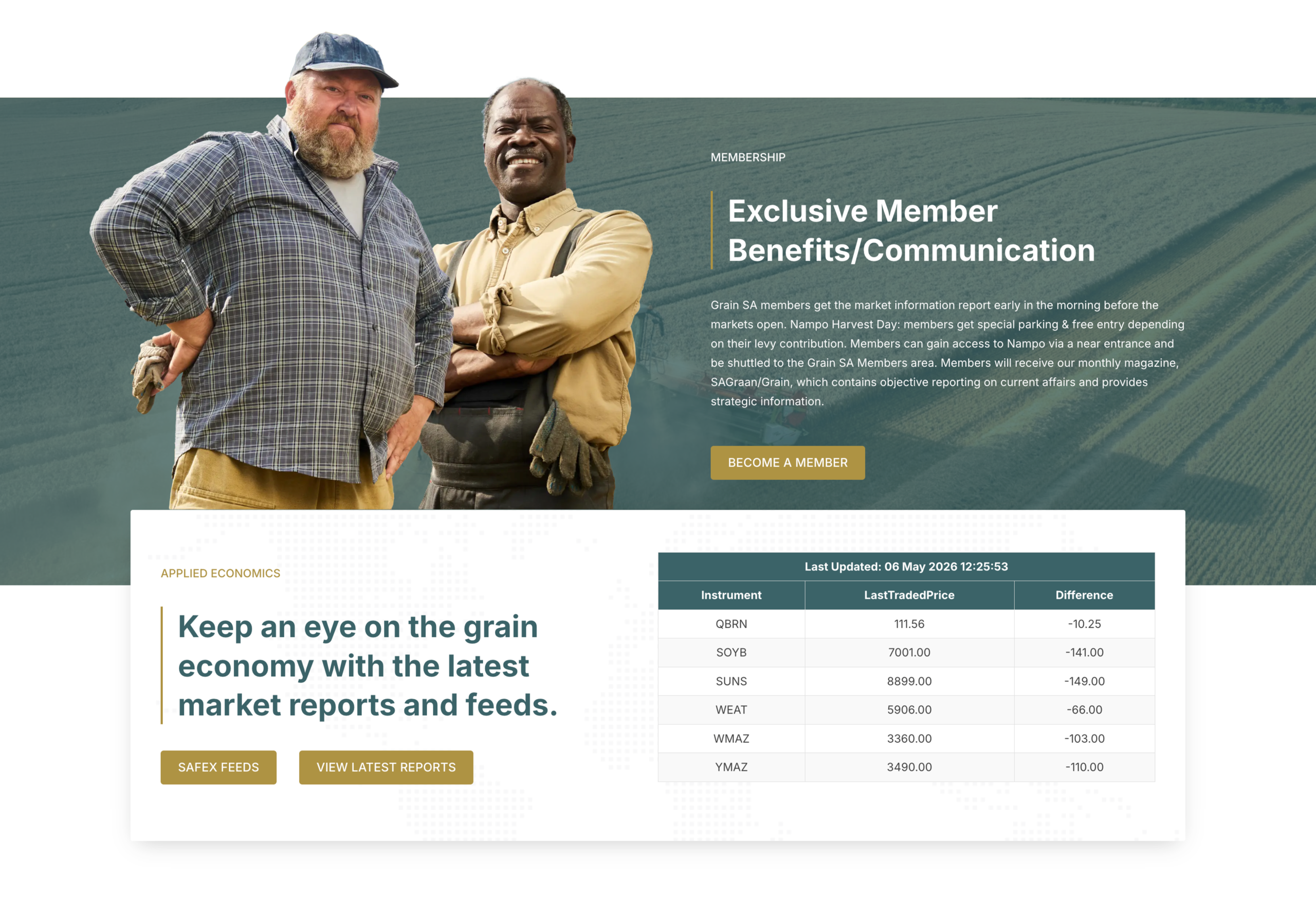 Grain SA Stylistic work