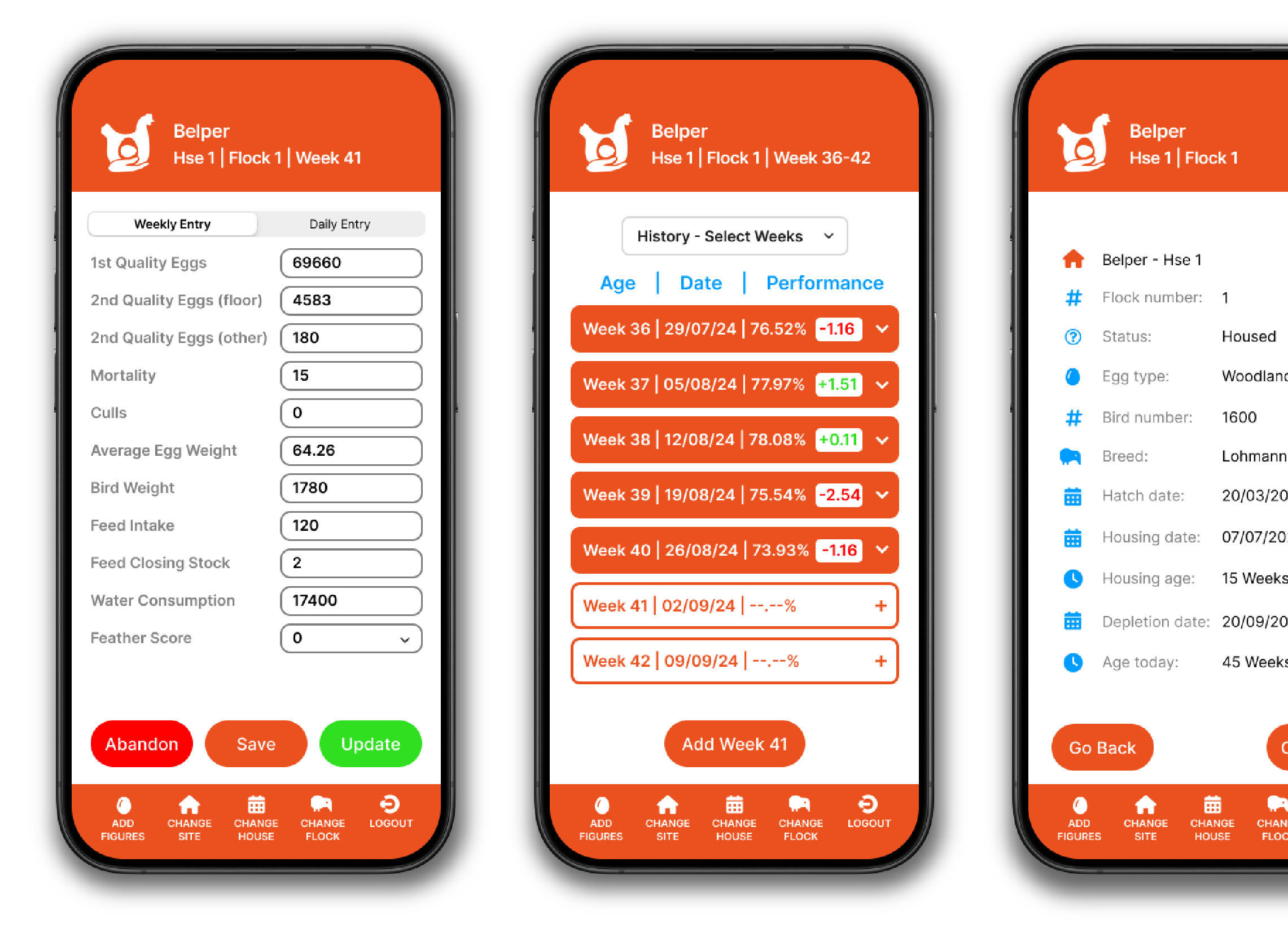 App development and print marketing